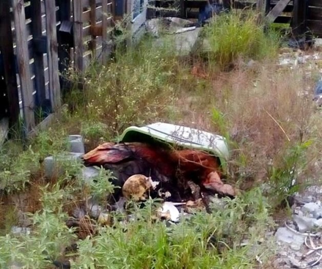 Hallan en García restos de mujer maniatada